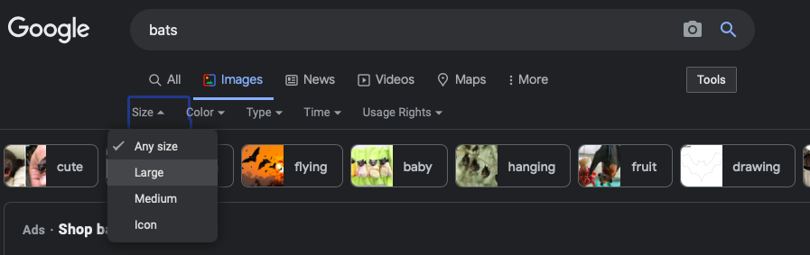 google images high resolution search